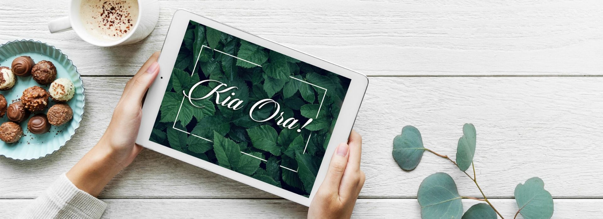 Contact Us Hero Banner