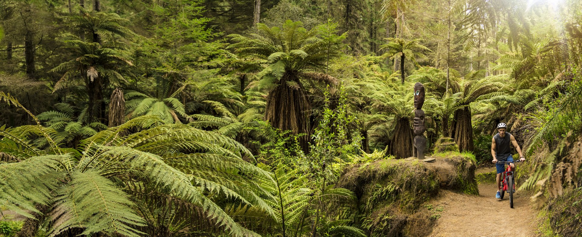 Mountain Biking Package