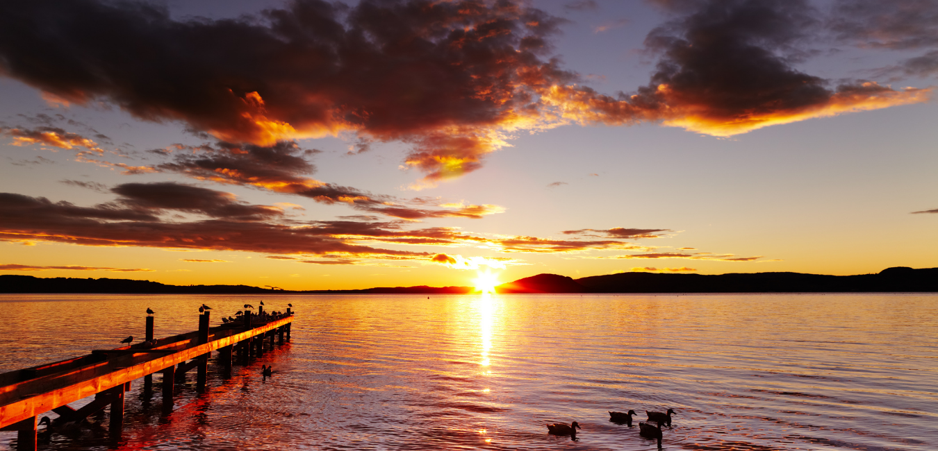 Free Activities to Experience in Rotorua